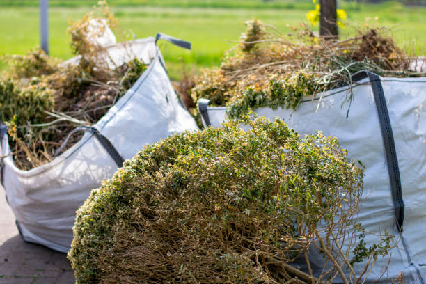Best Basement Cleanout Services  in Ridgewood, IL